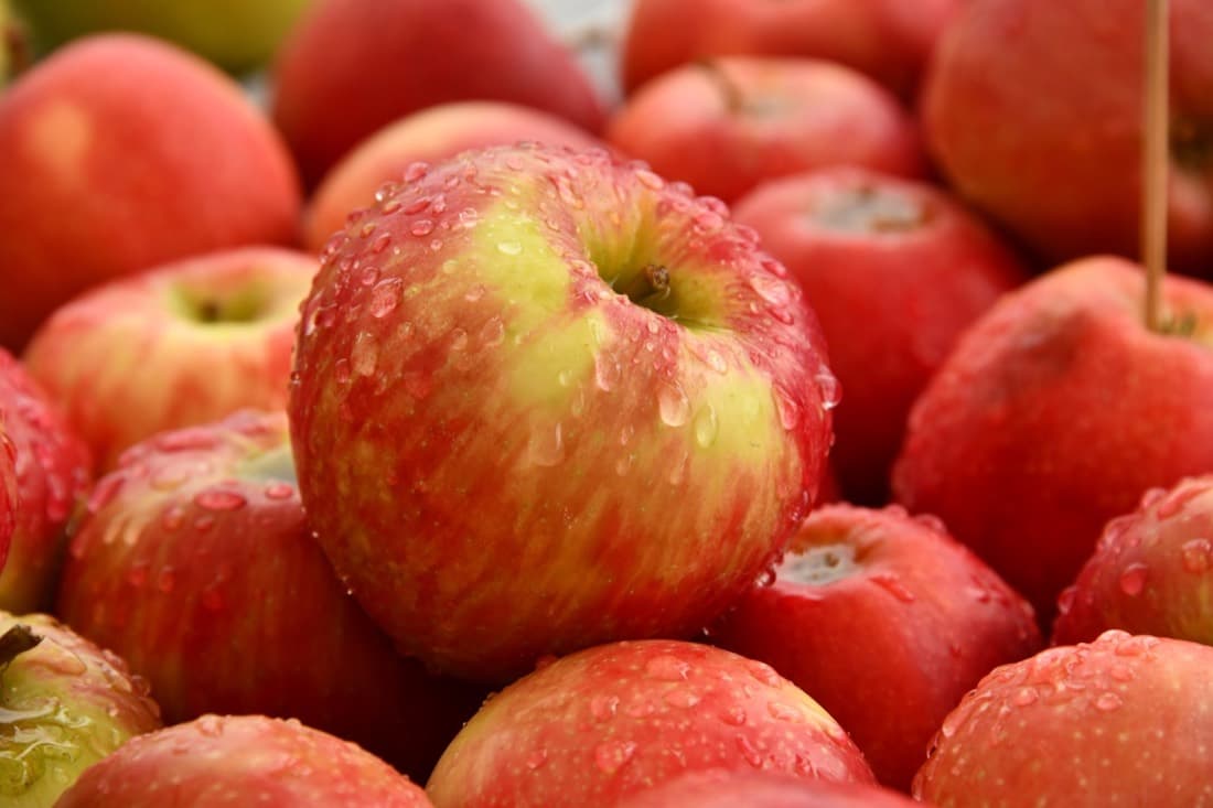 Fresh Apples — Kala Kulu • Golden