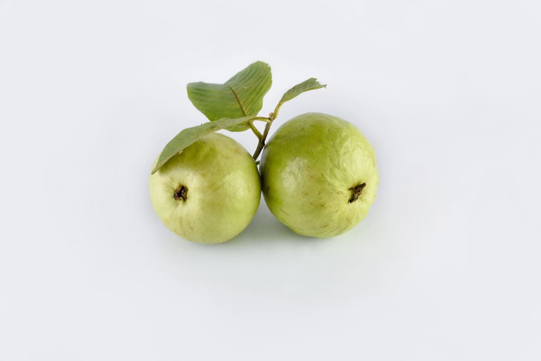 Fresh Guava — Larkana • Sharda
