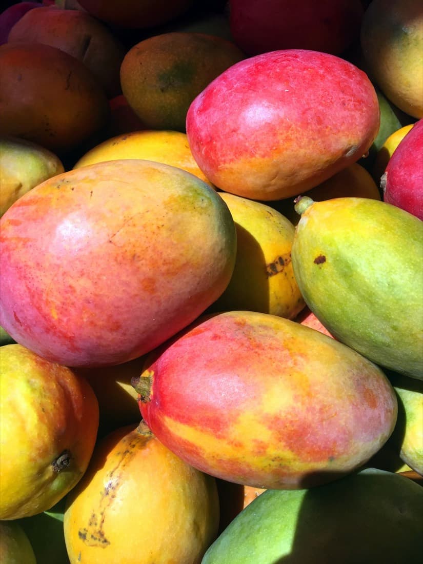 Fresh Mangoes — White Chaunsa • Anwar Ratol • Sindhri