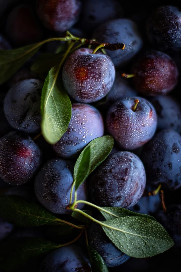Fresh Plums — Aloo Bukhara