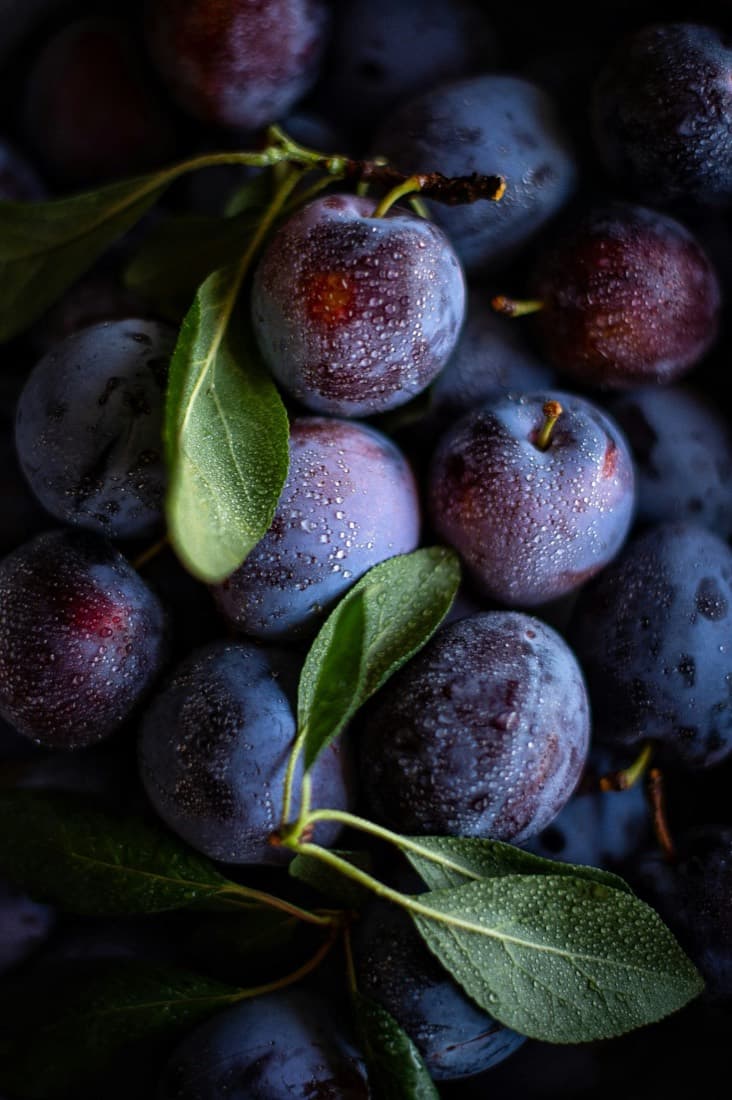 Dewy dark plums with fresh leaves